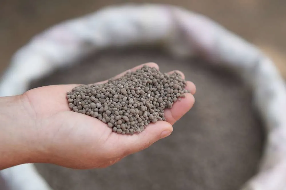 KUNSTMEST Kippenmest